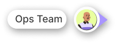 Ops Team persona